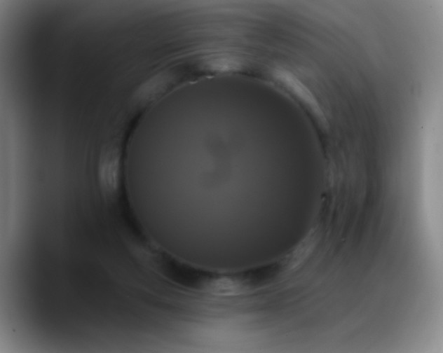 X0000090750163200707201456