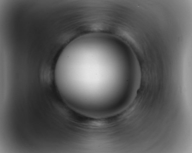 X0000090750164200707201456