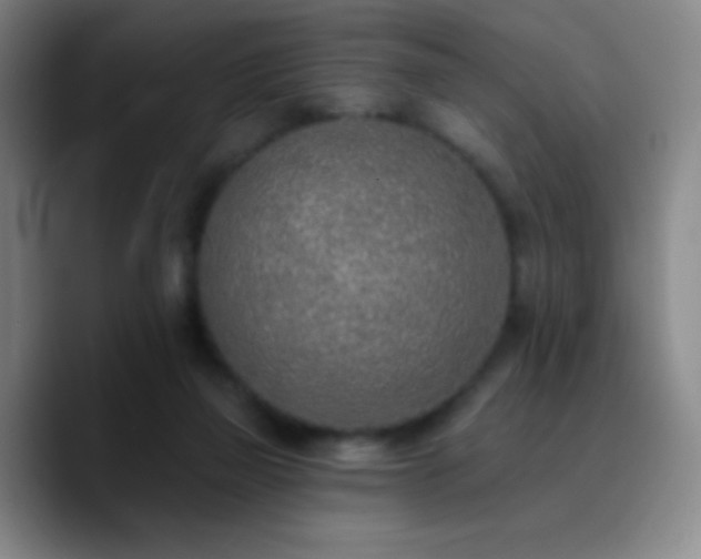 X0000090750165200707201456