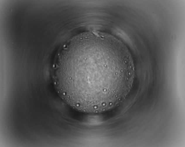 X0000090750169200707201456