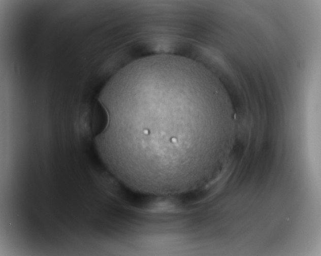 X0000090750175200707201457