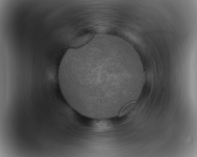 X0000090750181200707201457