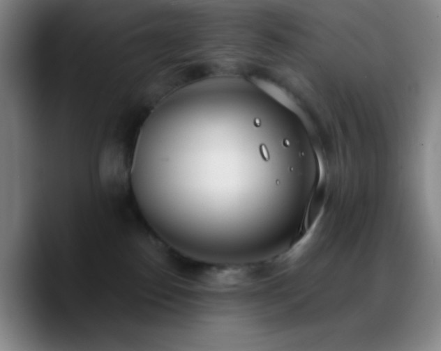 X0000090750186200707201457