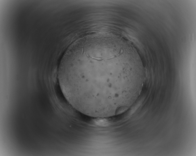 X0000090750189200707201457