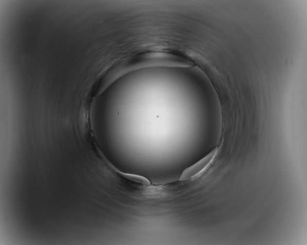 X0000090750192200707201457