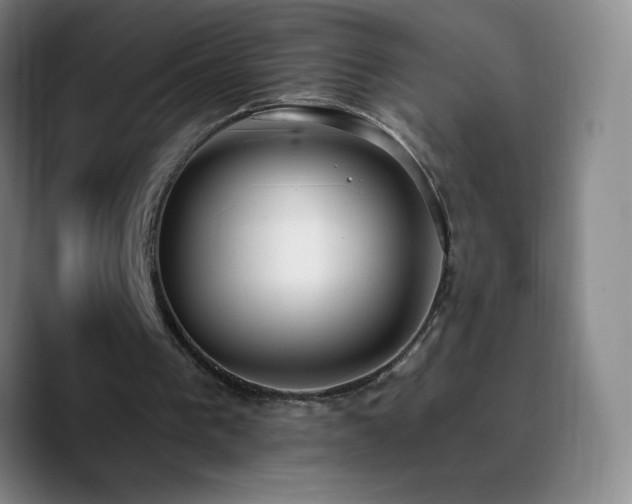 X0000090750193200707201456