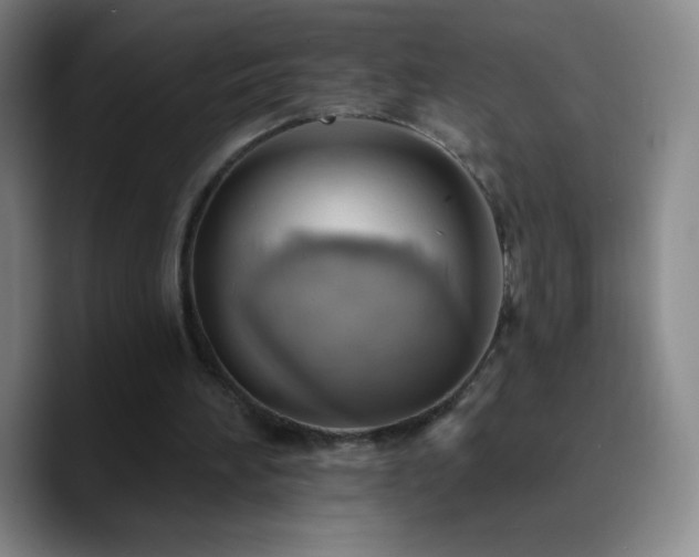X0000090750196200707201456