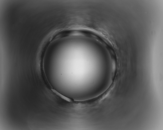 X0000090750197200707201456