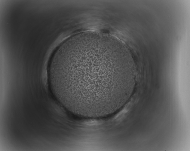 X0000090750198200707201456
