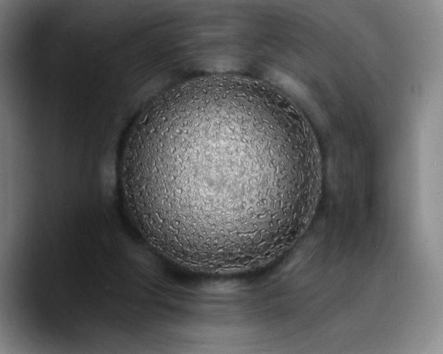 X0000090750202200707201456