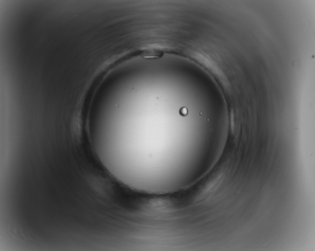 X0000090750204200707201456