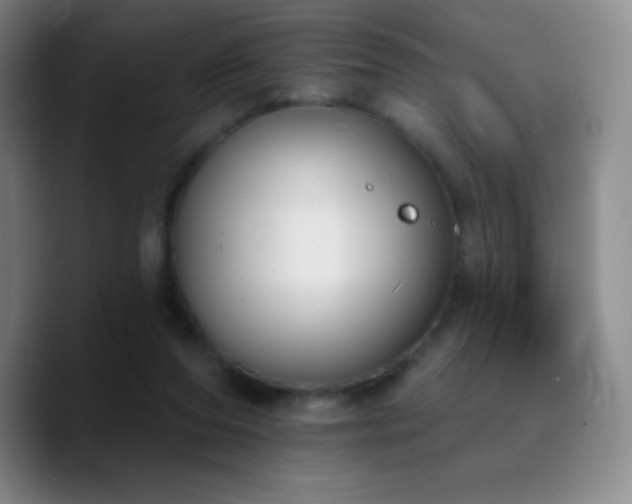 X0000090750208200707201456