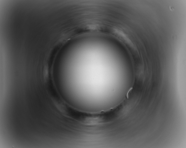 X0000090750213200707201456