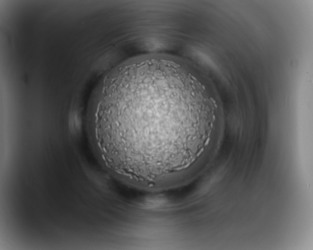 X0000090750214200707201456