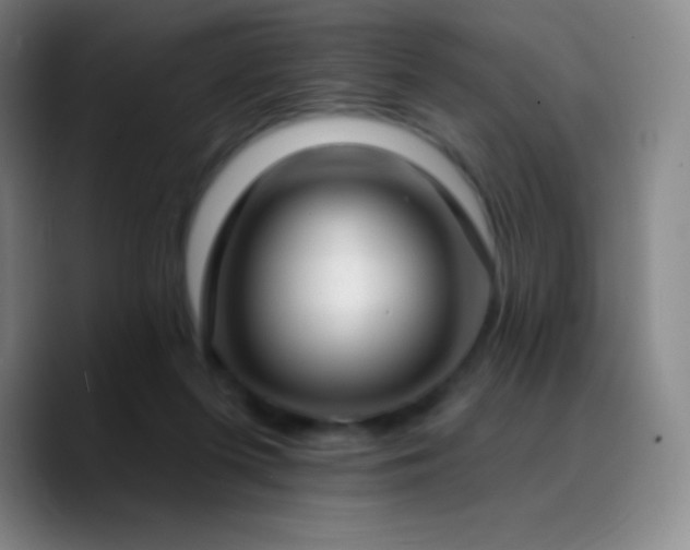 X0000090750215200707201456