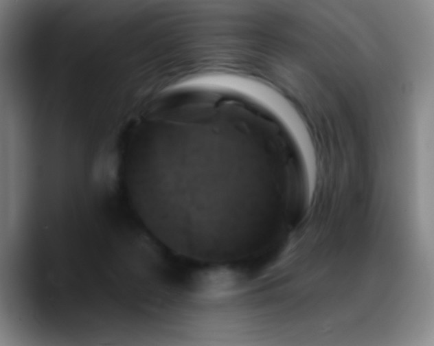 X0000090750219200707201456