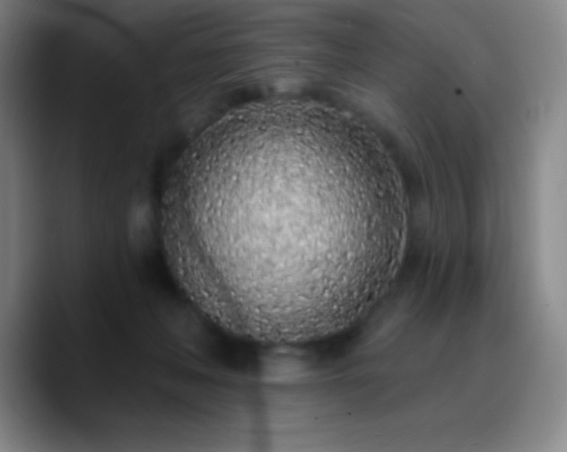 X0000090750222200707201456