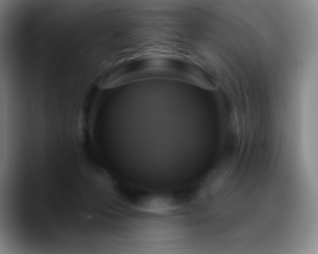 X0000090750223200707201456