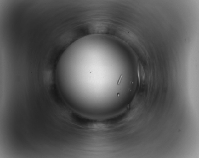 X0000090750224200707201456