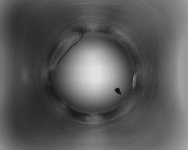 X0000090750225200707201456