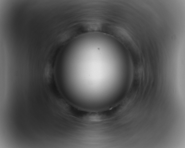 X0000090750228200707201456