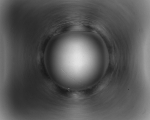 X0000090750229200707201456