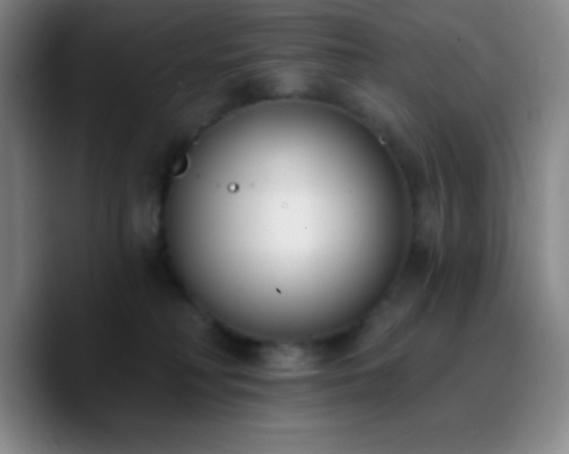 X0000090750230200707201456