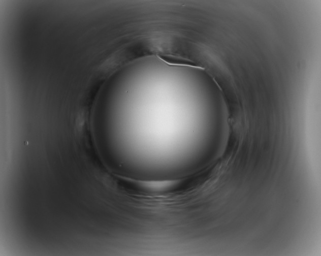 X0000090750233200707201456