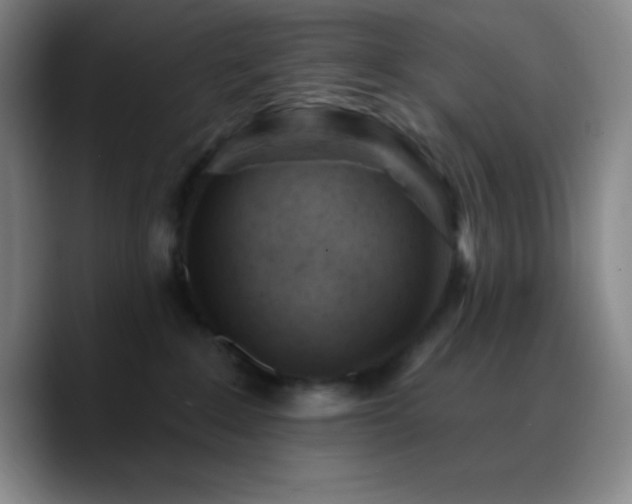 X0000090750235200707201456