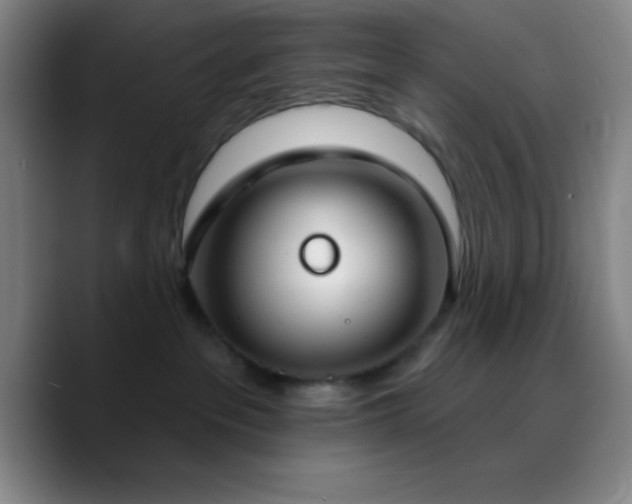X0000090750237200707201456