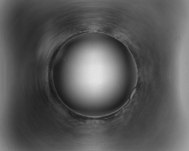 X0000090750242200707201455