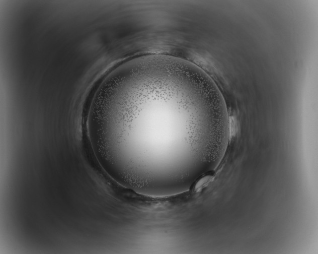 X0000090750243200707201455
