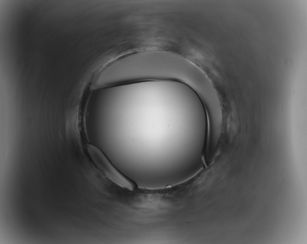 X0000090750244200707201455