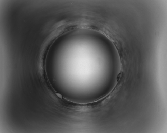 X0000090750245200707201455