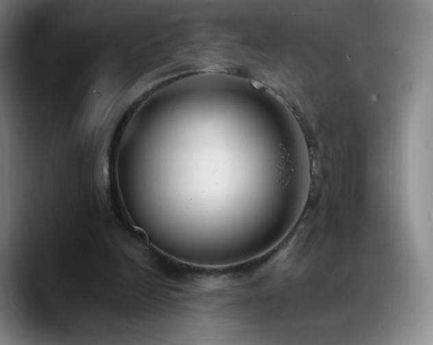 X0000090750246200707201455