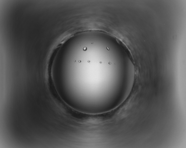 X0000090750248200707201455