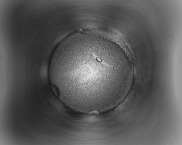 X0000090750249200707201455