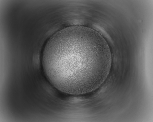 X0000090750250200707201455