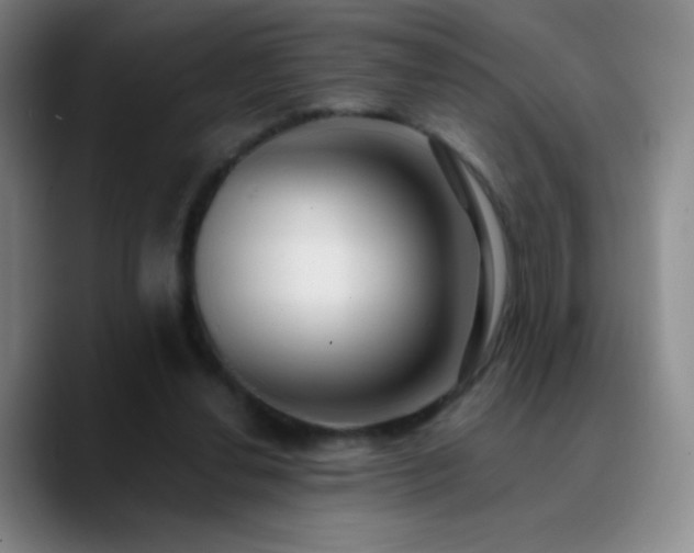 X0000090750252200707201455