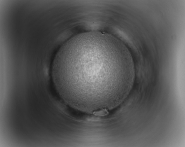 X0000090750258200707201455