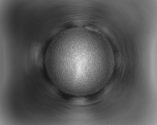 X0000090750266200707201455