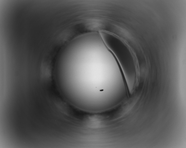 X0000090750268200707201455