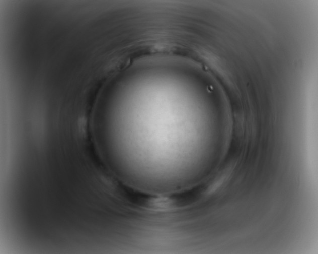X0000090750269200707201455