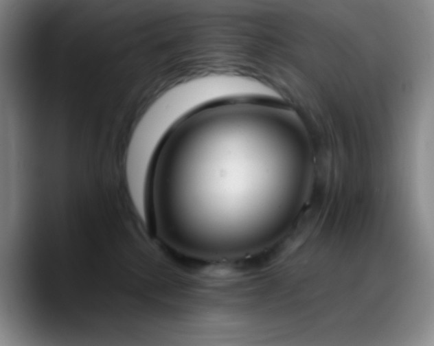 X0000090750280200707201455