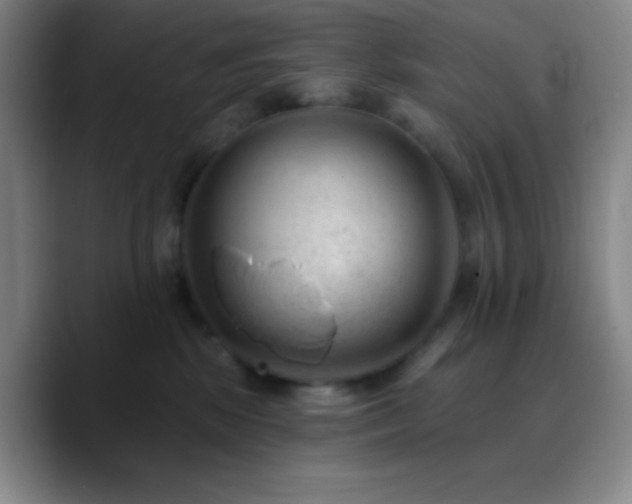 X0000090750281200707201455