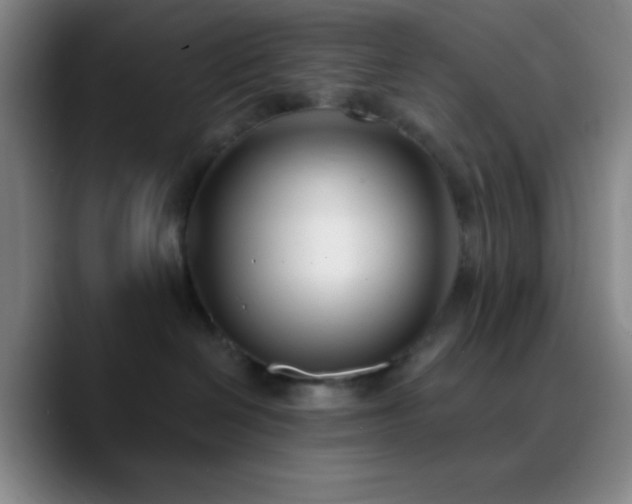 X0000090750286200707201456