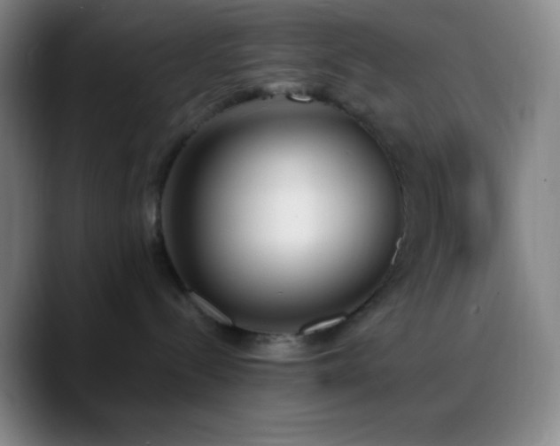 X0000090750288200707201456