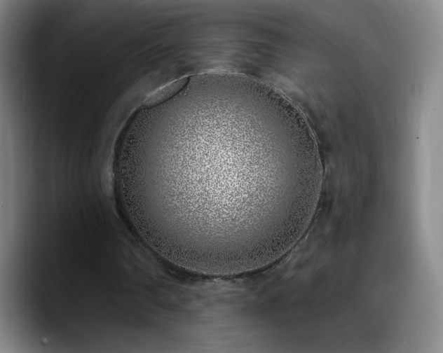 X0000090750290200707201455