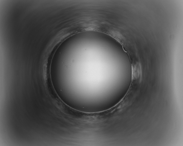 X0000090750291200707201455