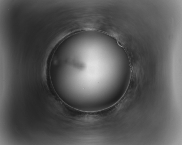 X0000090750292200707201455